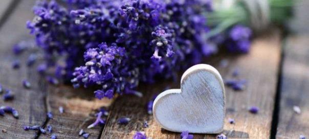 Mặt nạ collagen lavender